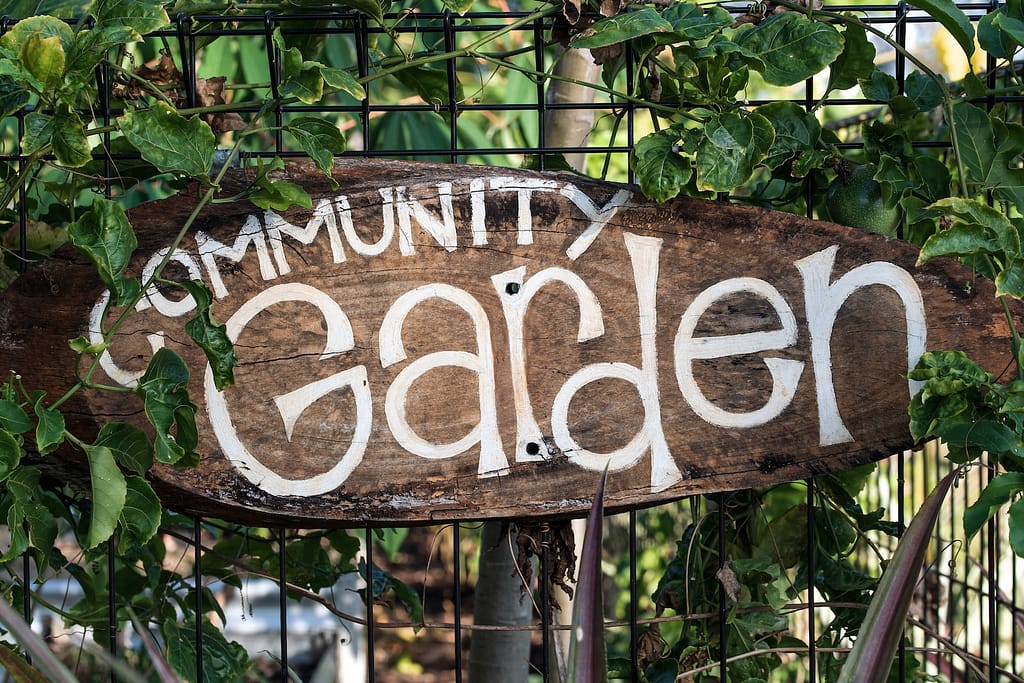 brown wooden community garden welcome signage on green plants