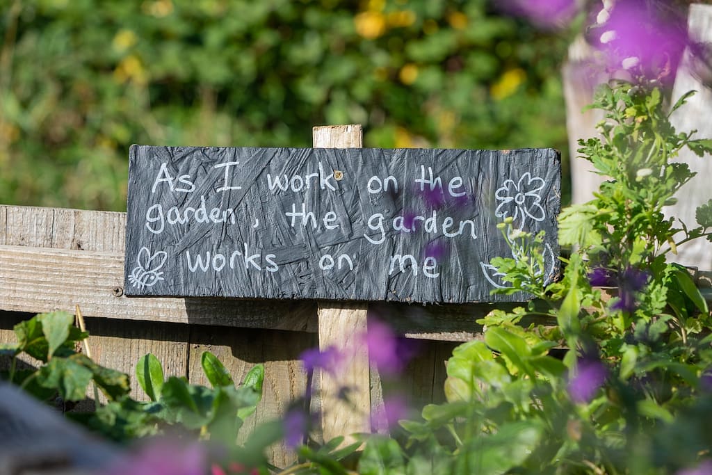 gardening for mental health. As I work in the garden, the garden works on me. 