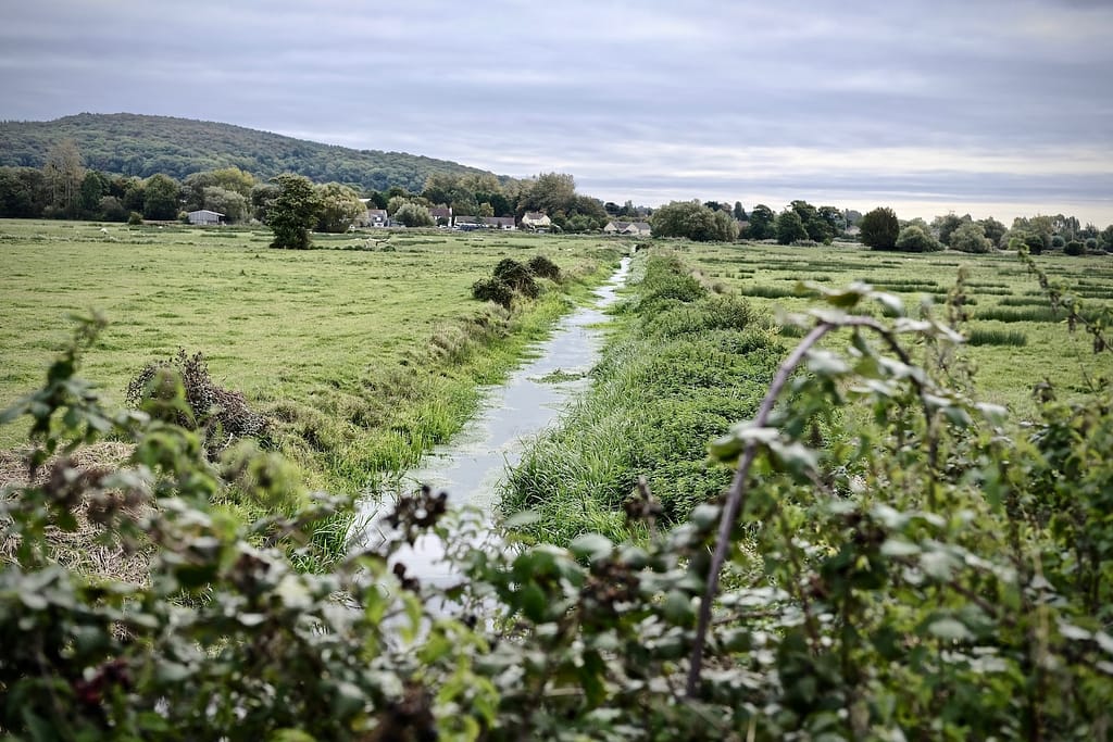 landscape photo of a stream among grass fields