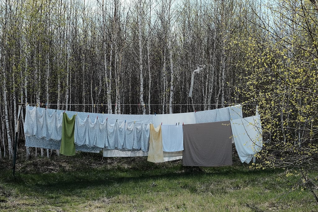 gray bed sheets hung to dry near forest tress