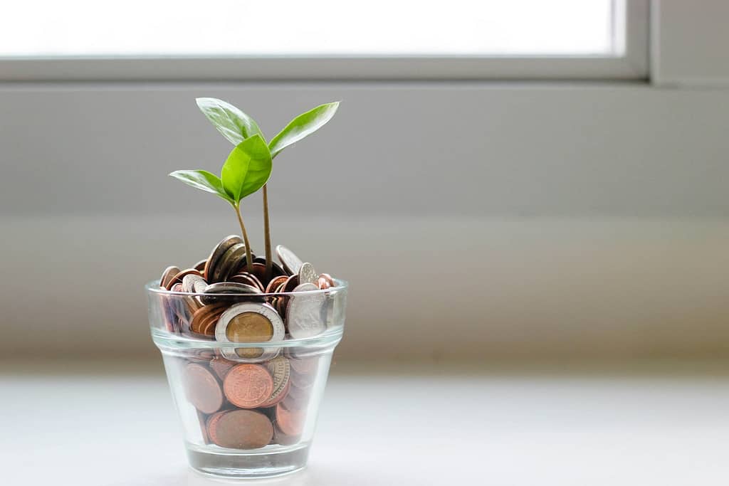green plant in clear glass cup full of coins