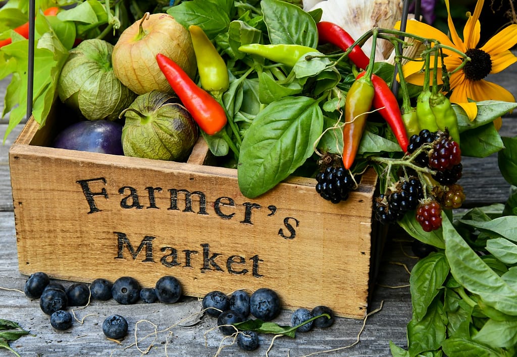 farmers market basket filled with locally grown, sustainable vegetables