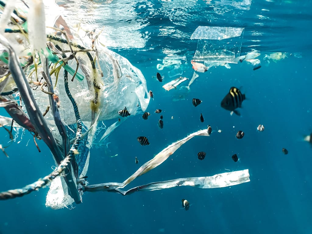 Fish surrounded by plastics in the water