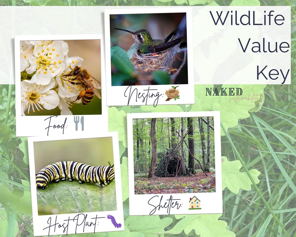 Native Garden Wildlife Value Key: Food, Nesting, Host Plant, Shelter
