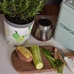 kitchen counter compost bin with vegetable scraps