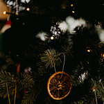 Natural dried orange ornament on Christmas Tree