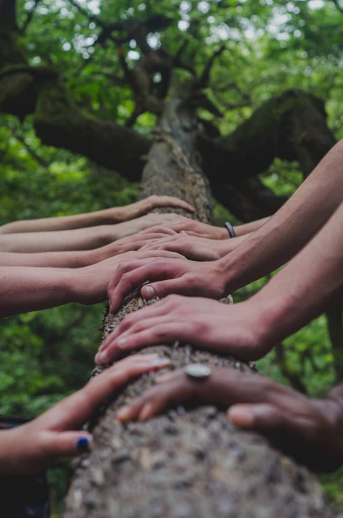 a group of people holding hands on top of a tree, connecting with nature through mindfulness
