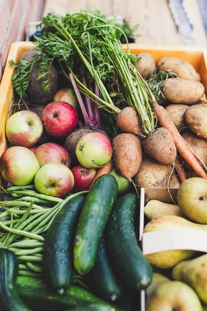 a box filled with lots of different types of seasonal vegetables for sustainable eating habits