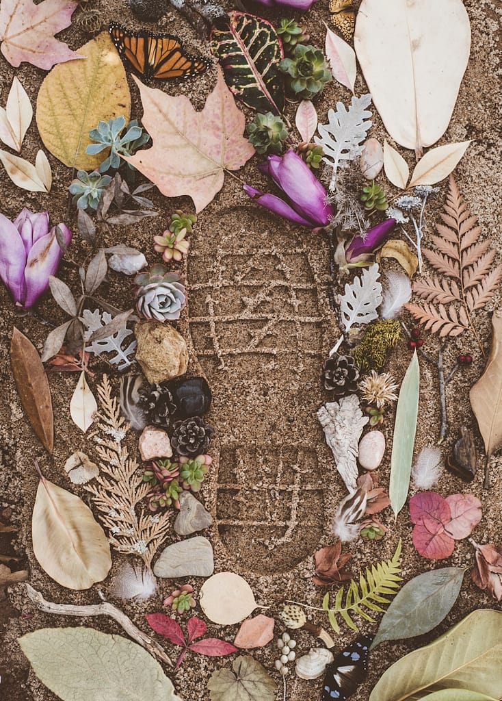 assorted flowers and leaves on sand with shoe mark representing carbon footprint